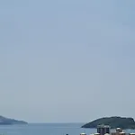 Aurelia Budva
