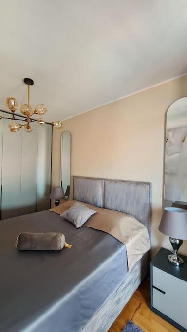 Aurelia Budva