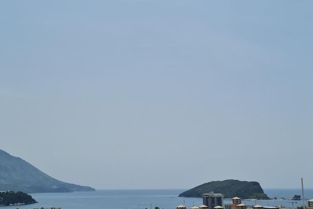 Aurelia * Budva