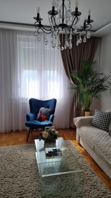 Aurelia * Budva