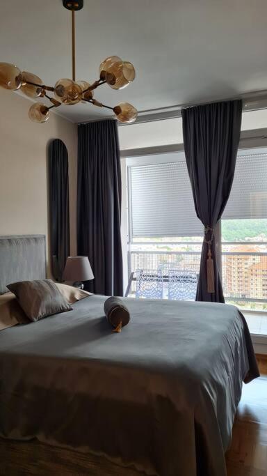 Aurelia * Budva